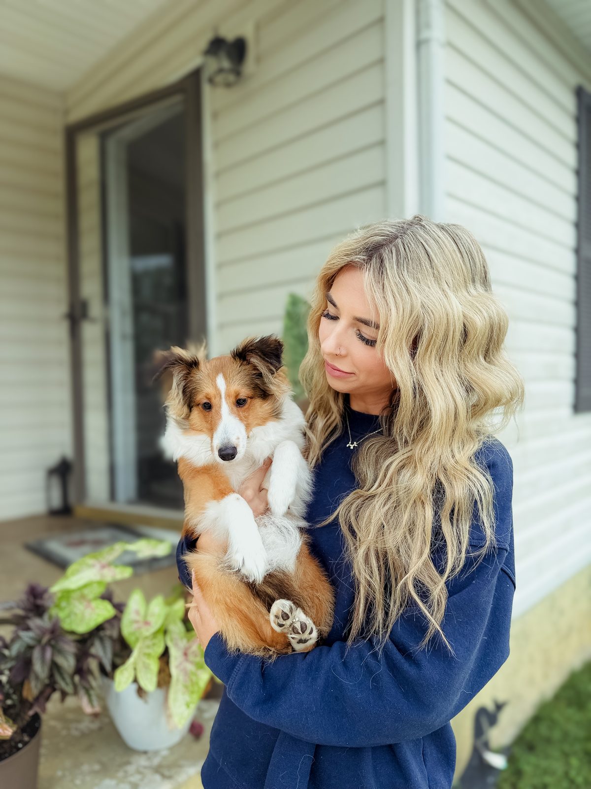In-Home Dog Behavior Training in Knoxville